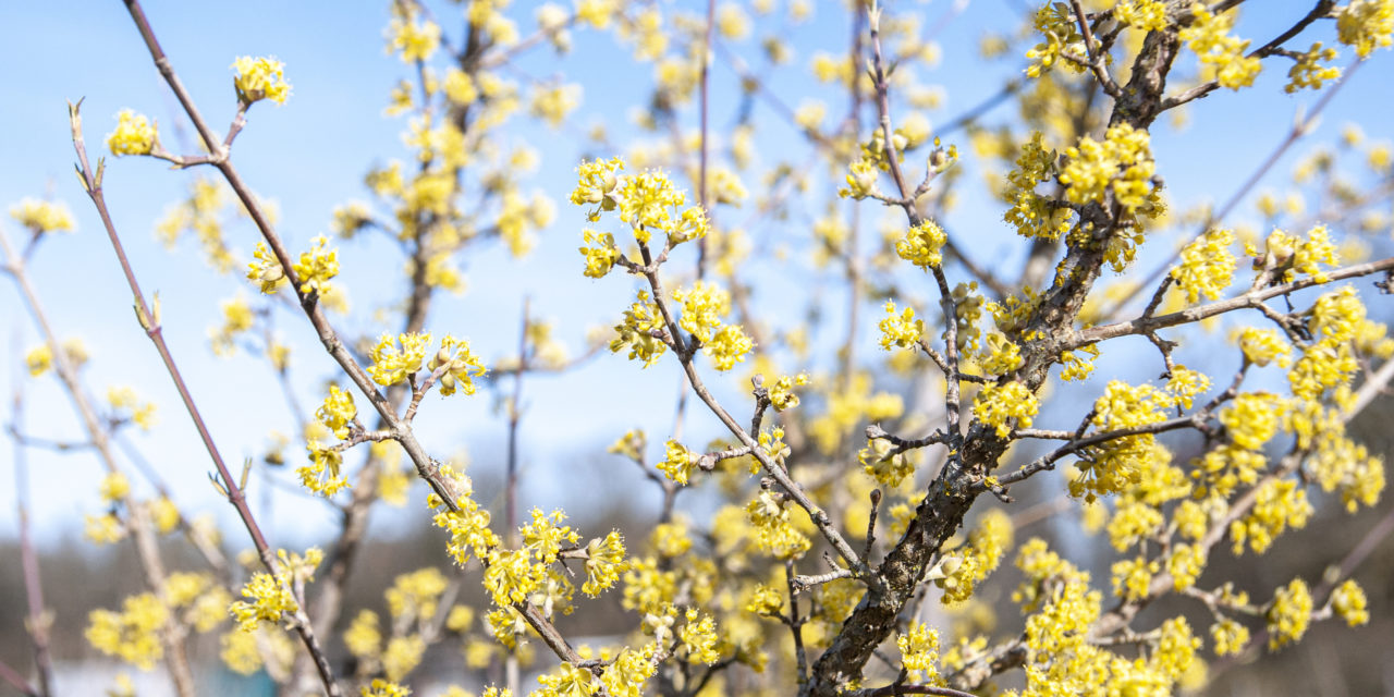 Newsletter im APril