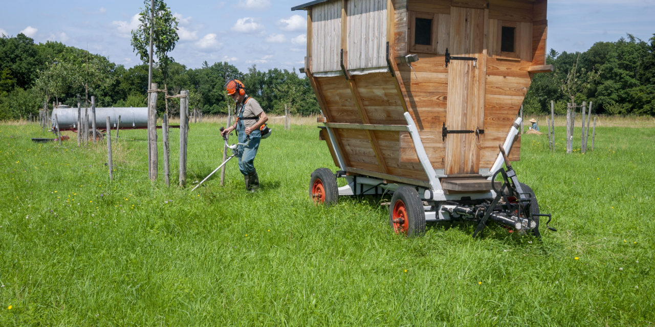 Der Arche Bauernhof im Sommer